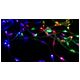 Magiczne lampki 200 led 1mln kolorów 10m DC5V -zdjęcie numer 6